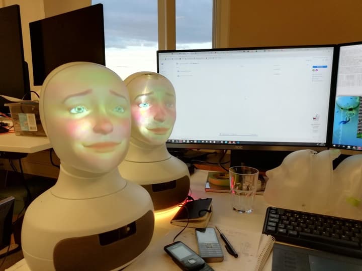 Furhat Robotics, physical masks and animated faces
